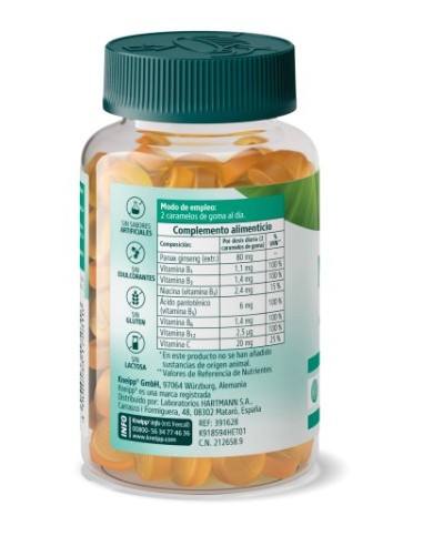 Kneipp Memoria Gummies 60 Unidades Kneipp Memoria Gummies 60 Unidades