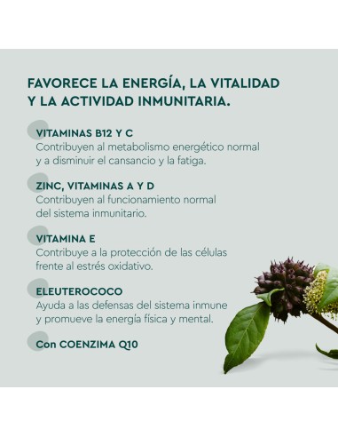 Kneipp Multivitaminas 60 Gummies