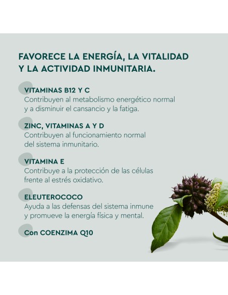 Kneipp Multivitaminas 60 Gummies
