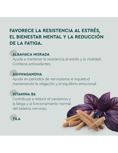 Kneipp Stress Gummies 60 Gominolas Kneipp Stress Gummies 60 Gominolas