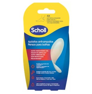 Scholl Apositos...