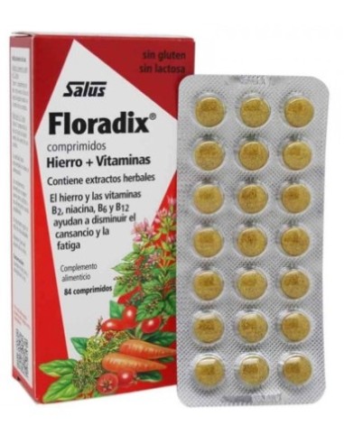 Floradix 84 Comprimidos Floradix 84 Comprimidos