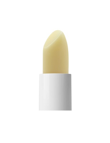 BABÉ Stick Labial Invisible FPS 50 4 g BABÉ Stick Labial Invisible FPS 50 4 g