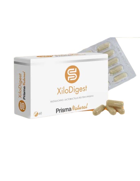 Xilodigest Prisma Natural 60 cápsulas – Equilibrio de la Microbiota