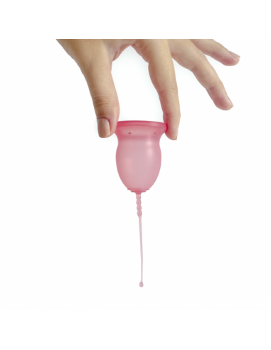 ENNA CYCLE COPA MENSTRUAL 2 UNIDADES + ESTERILIZADOR ENNA CYCLE COPA MENSTRUAL 2 UNIDADES + ESTERILIZADOR