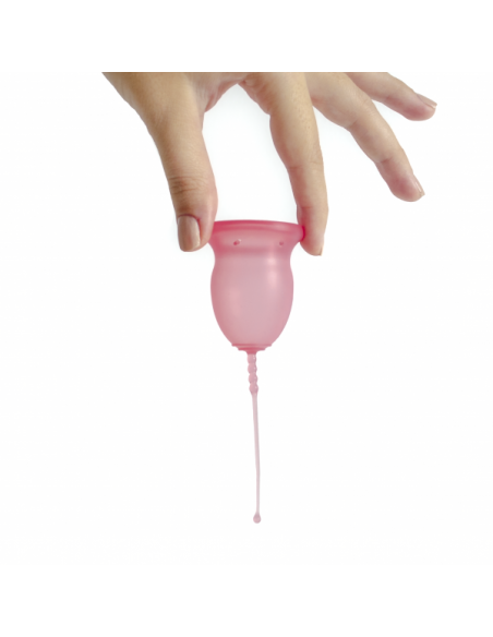 ENNA CYCLE COPA MENSTRUAL 2 UNIDADES + ESTERILIZADOR ENNA CYCLE COPA MENSTRUAL 2 UNIDADES + ESTERILIZADOR