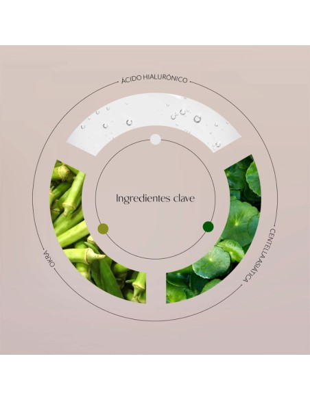 Byoode Hyaluronic & Okra Allegory-Sérum Ácido Hialurónico 3 ml