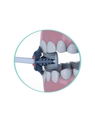 Balene Cepillo Dental Adulto Balene... Balene Cepillo Dental Adulto Balene...