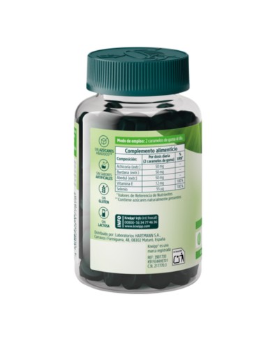 Kneipp Gummies Detox 60 unds Kneipp Gummies Detox 60 unds