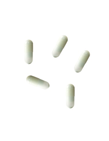 Iraltone Forte Duplo 2x60 cápsulas