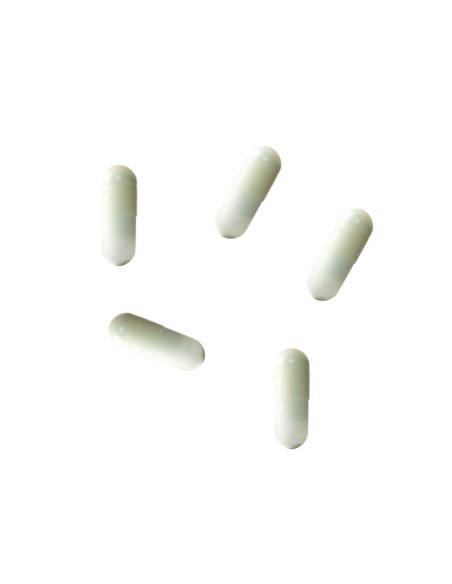 Iraltone Forte Duplo 2x60 cápsulas