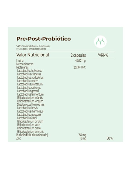 Kobho Pre-Post Probiótico 60 cápsulas