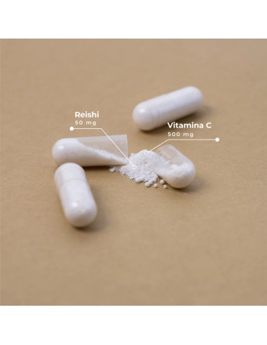 Kobho Vitamina C + Reishi 60 cápsulas Kobho Vitamina C + Reishi 60 cápsulas