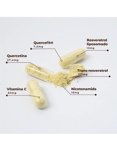 Kobho Trans Resveratrol + Quercetina...