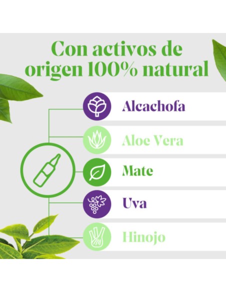 Arkofluido Alcachofa Forte + Aloe Vera 20x15 ml