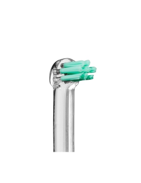 Vitis Cepillo Dental Adulto Monotip