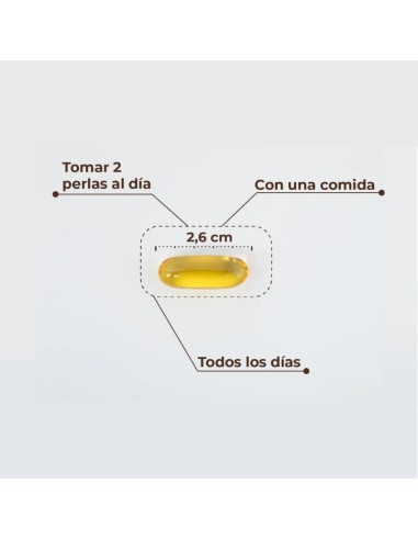 Kobho Omega-3 90 Cápsulas Kobho Omega-3 90 Cápsulas