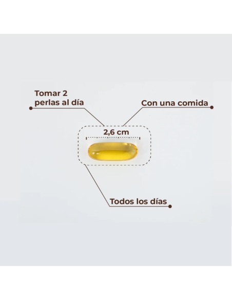Kobho Omega-3 90 Cápsulas