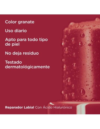 Isdin Reparador Labial Granate 4 g Isdin Reparador Labial Granate 4 g