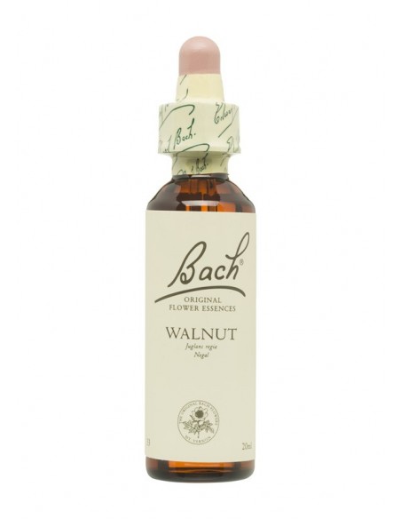 Flores de Bach Originales (33) Walnut-Nogal 20ML