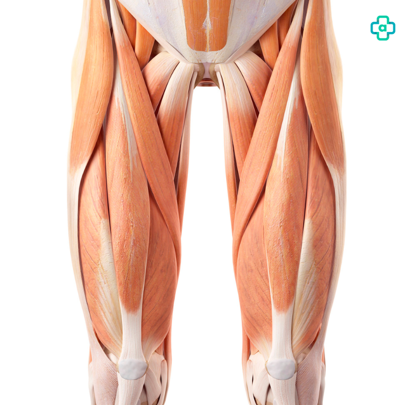 Enfriamiento muscular: Síntomas, causas, prevención y tratamiento