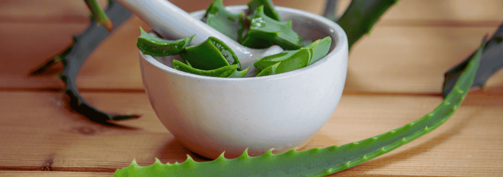 Beneficios aloe vera, el aliado natural para la salud y la belleza
